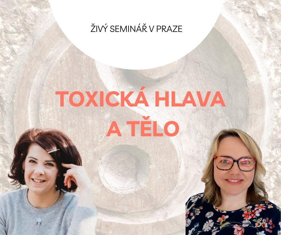 toxická hlava seminář Mikulajská Boubelíková